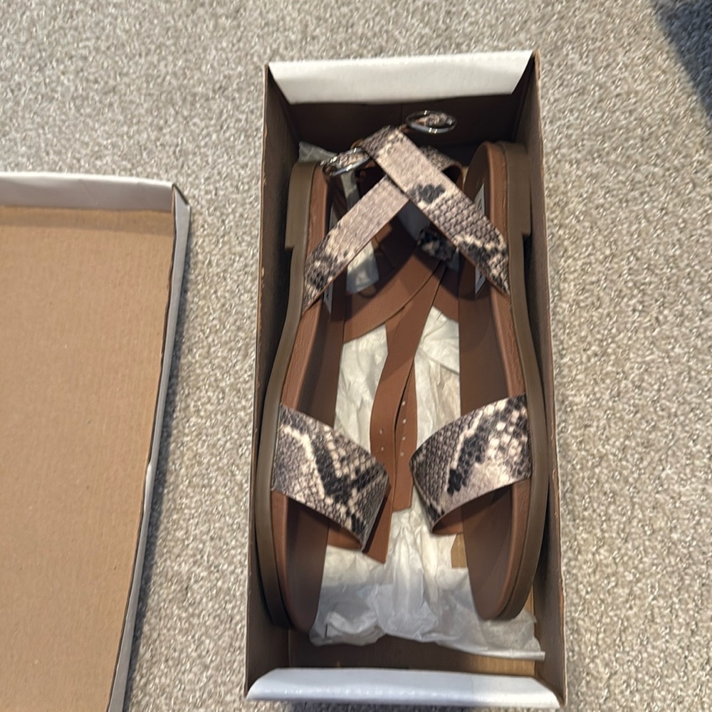 steve madden snake print sandals
